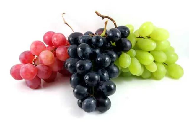 Uvas