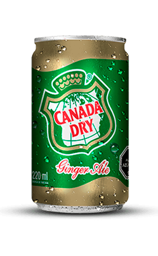 Ginger Ale 350 cc
